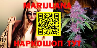 индика Лесосибирск