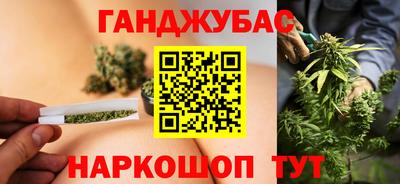 индика Лесосибирск