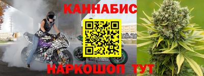 индика Лесосибирск