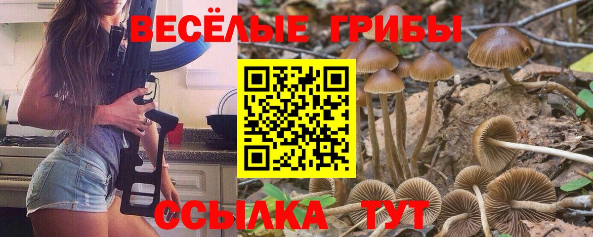 Псилоцибиновые грибы MAGIC MUSHROOMS Ярцево