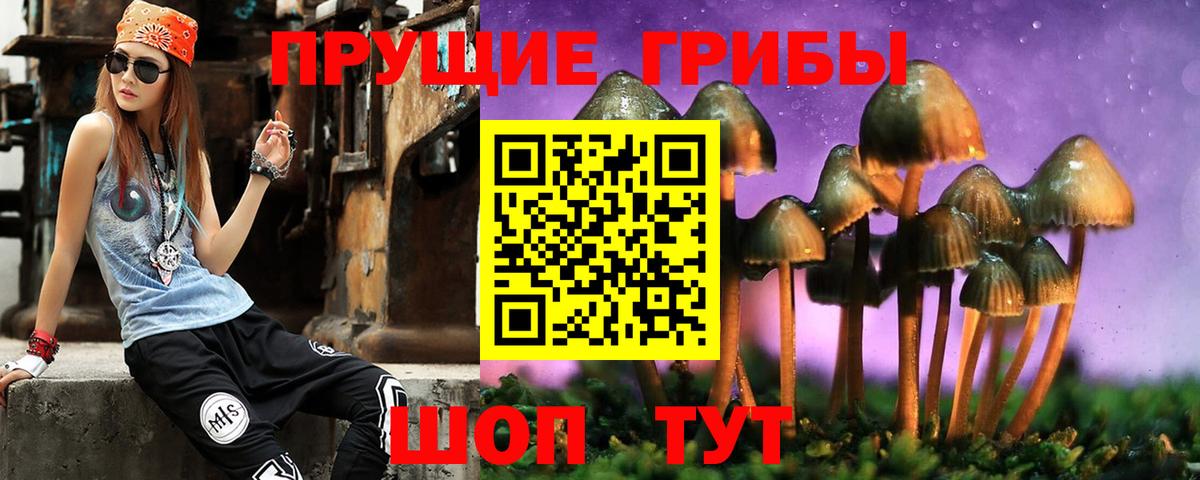 Ярцево  Галлюциногенные грибы ЛСД  Псилоцибиновые грибы Psilocybine cubensis  Вход с VPN 